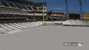 cws GIF by MLB
