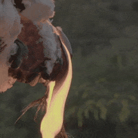 School College GIF by Syracuse University