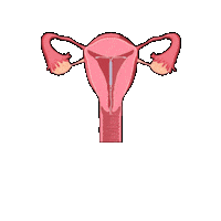 Sticker by Clinica Maraton
