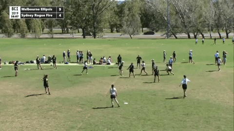 flikulti ultimate frisbee flik GIF