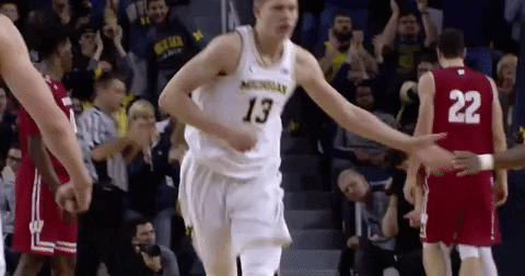 GIF by Michigan Athletics