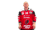 Sport Hockey Sticker by HDD SIJ Acroni Jesenice