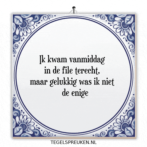Humor Nl GIF by Tegelspreuken.nl