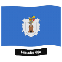 Flag Spain Sticker by Formación Ninja