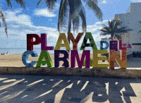 Playa Del Carmen Beach Vacation GIF by Adventrgram