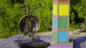 Idol Challenge GIF by Survivor CBS