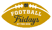 Notre Dame Nfl Sticker by University of Notre Dame