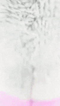 Spongebob Pearl GIF by Youtooz