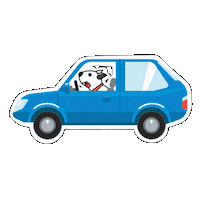 Manejar Ford Sticker by WPBR Marketing Digital