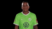 Go Out Reaction GIF by VfL Wolfsburg