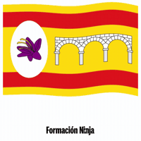 Flag Spain GIF by Formación Ninja
