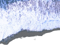 Pop Music Beach Sticker by Susannah B