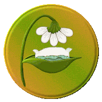 graphics bee STICKER