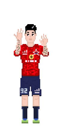 Football Goal Sticker by FC SKA