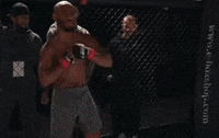 Celebration Mma GIF by Old School Academy