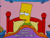 bart simpson episode 6 GIF