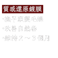 文字 Xoco Sticker by xocohair