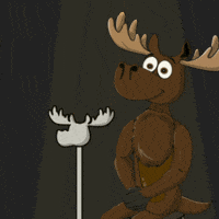 DoYouMoose hello comedy greetings web3 GIF