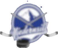 Ecn Sticker by EC Niedernsill Islanders