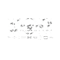 Click Shake It Sticker by Charli XCX