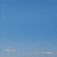 Lama GIF by Fio banka