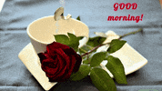 Good Morning Love GIF by echilibrultau