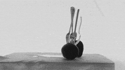 contemporary art photography GIF by Art21