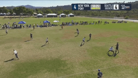 flikulti ultimate frisbee flik GIF