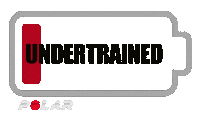 Polarhongkong sport run motivation training Sticker