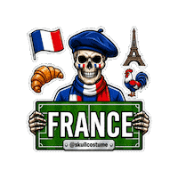 France Soccer Sticker