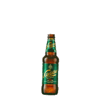 Crna Gora Beer Sticker by NiksickoPivo