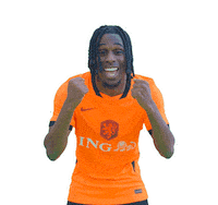 Ing Sticker by INGNederland