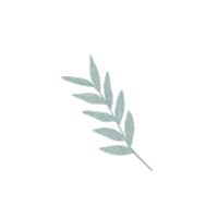 Plant Leaf Sticker by Zona E Home