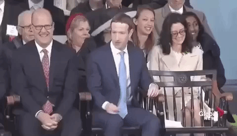 mark zuckerberg GIF