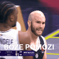 Nick Calathes Bold Eagle GIF by Basketball Club Partizan