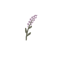 Bretodeau sticker instagram flower stories Sticker