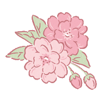 Pink Flower Sticker by daiso_designlab