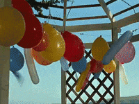 birthday GIF