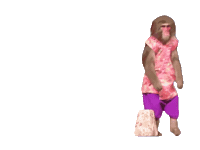 Fun Monkey Sticker