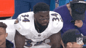 Baltimore Ravens Football GIF by NFL