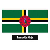 Flag Bandera Sticker by Formación Ninja