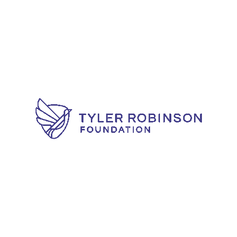 trfdotorg giphygifmaker charity imagine dragons rise up Sticker