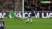 Sport Goal GIF by Play Sports