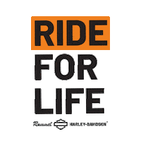 Brand Bike Sticker by Rommel Harley-Davidson