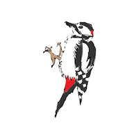 AimerDesign bird 鳥 aimerdesign 野鳥 Sticker