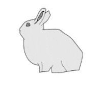 AimerDesign rabbit うさぎ aimerdesign Sticker