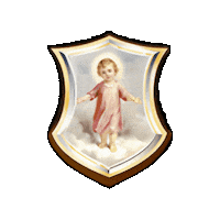 DrDeniseN salud foundation niño fundacion Sticker