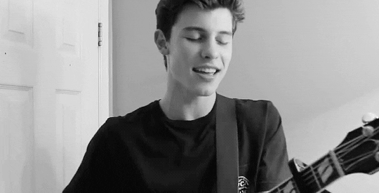 shawn mendes s GIF