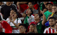 celebrate come on GIF by MiSelecciónMX