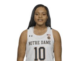 Notre Dame Nd Basketball Sticker by Notre Dame Fighting Irish